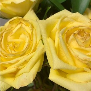 Meet your Posher, Orna